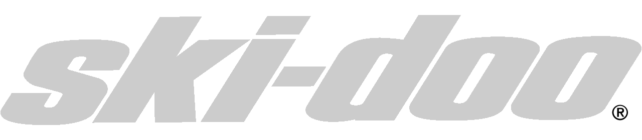 логотип ski-doo