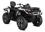 Квадроцикли Can-Am